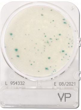 Đĩa Compact Dry kiểm tra Vibrio Parahaemolyticus | Vibrio Parahaemolyticus VP | Nissui