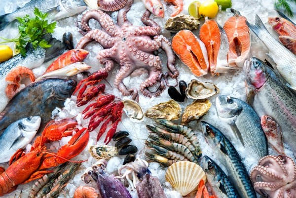 Giải pháp kiểm tra vi sinh cho ngành công nghiệp chế biến thủy sản | Seafoods Industry
