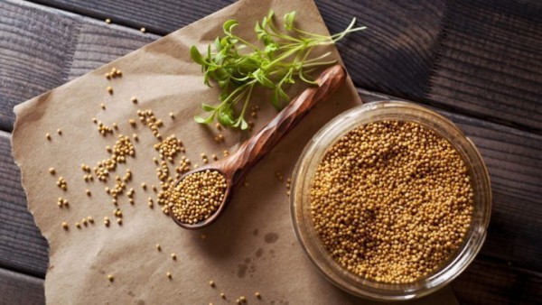 Mustard (wasabi)