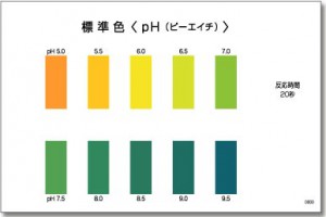 PACKTEST pH