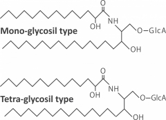 Biosphingo (Glycosphingolipid) (Cosmetic Ingredients)