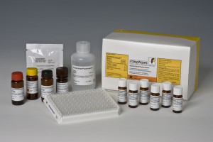 RIDASCREEN® Sulfonamide