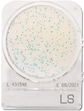 Compact Dry Listeria LS | Nissui