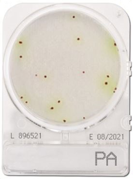 Compact Dry Pseudomonas Aeruginosa PA | Nissui