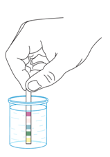 Que test nhanh chất lượng nước 5 trong 1 | 5 in 1 Water Test | Biomedal