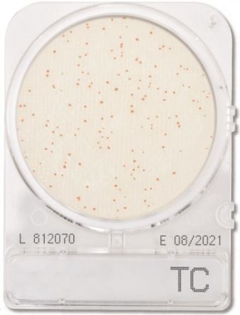 Đĩa Compact Dry kiểm tra tổng khuẩn hiếu khí | Total Viable Count TC | Nissui