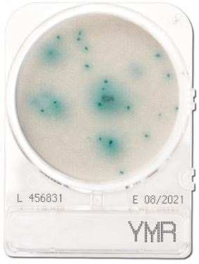 Đĩa Compact Dry kiểm tra men mốc nhanh | Yeast and Mold Rapid YMR | Nissui