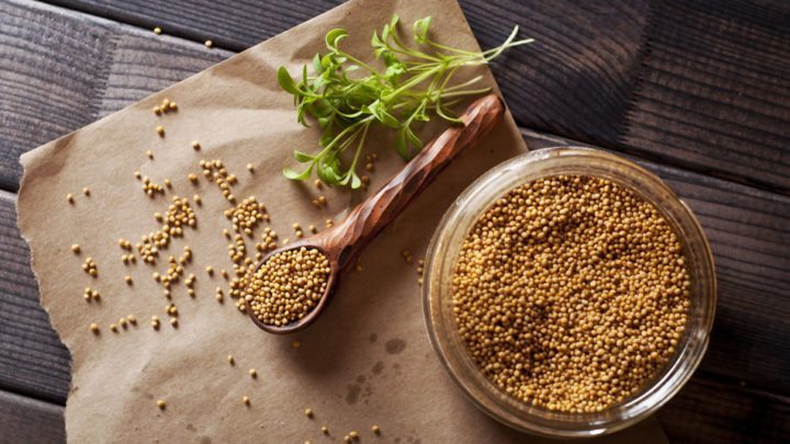 Mustard (wasabi)